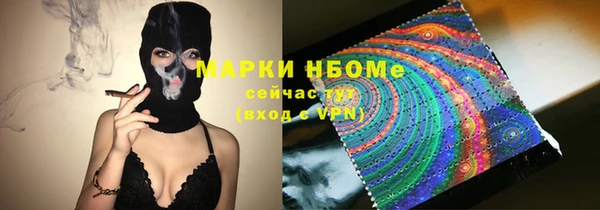 гидра Кинешма