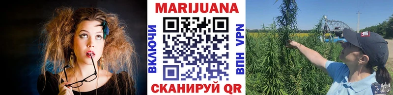 Купить Нарткала Бошки Шишки конопля